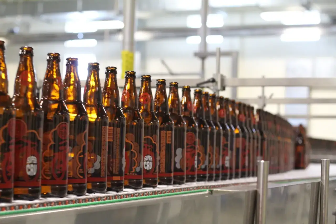 Bottiglie di birra ambrata in fila su un nastro trasportatore, pronte per essere imbottigliate dalla Brasserie du Bocq.